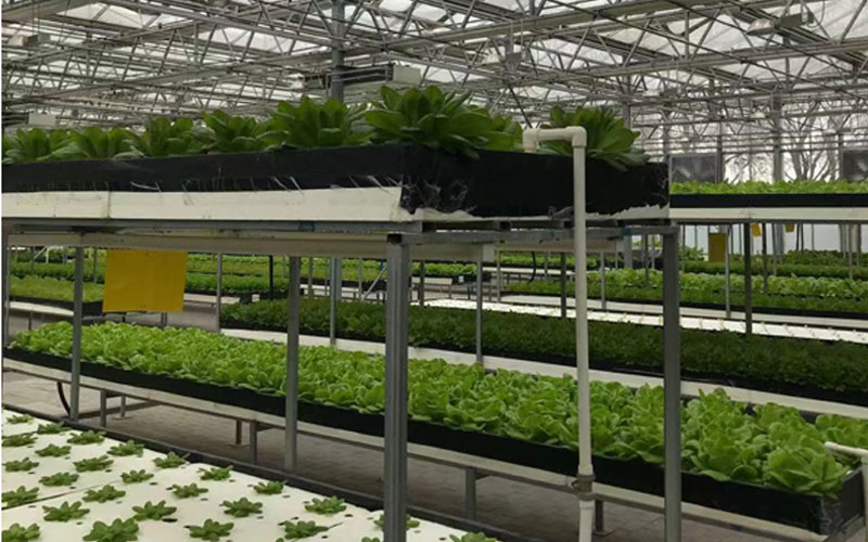 CA88(中国游) - 官方网站